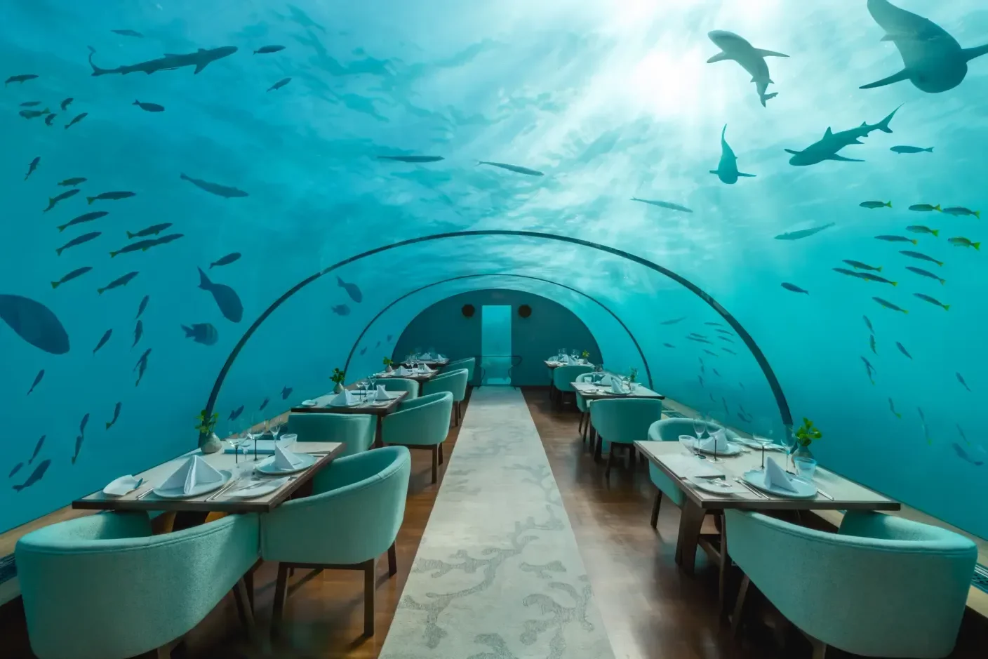 Inside Ithaa: dinner inside a glass capsule five meters below the Indian Ocean